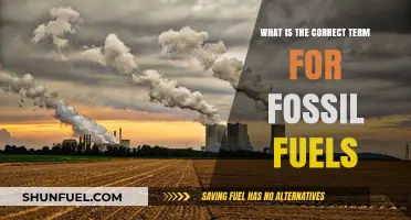 Understanding Fossil Fuels: The Accurate Terminology and Its Importance