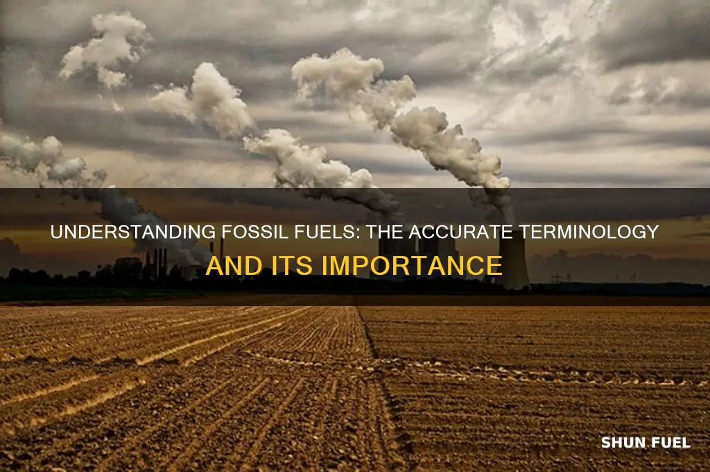 what is the correct term for fossil fuels