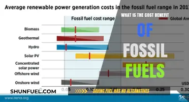 Fossil Fuels: Balancing Economic Benefits Against Environmental and Health Costs