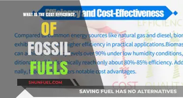 Evaluating the Cost Efficiency of Fossil Fuels: A Comprehensive Analysis