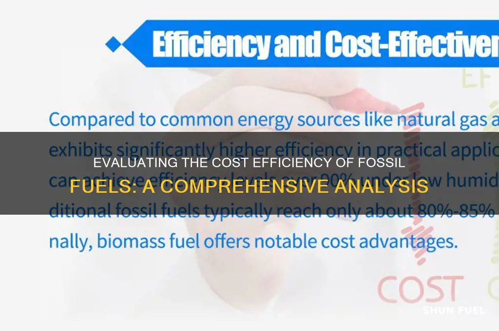what is the cost efficiency of fossil fuels