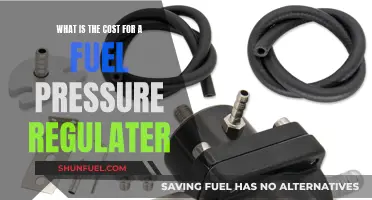 Fuel Pressure Regulator: Cost and Replacement Guide