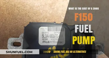 2005 F150 Fuel Pump Replacement Cost: What to Expect