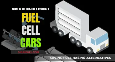 Hydrogen Fuel Cell Cars: Costly Green Revolution?