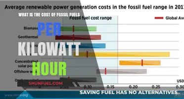 Fossil Fuels' Hidden Costs: Unveiling the Price per Kilowatt-Hour