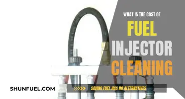 Fuel Injector Cleaning: Cost, Benefits, and Maintenance Tips