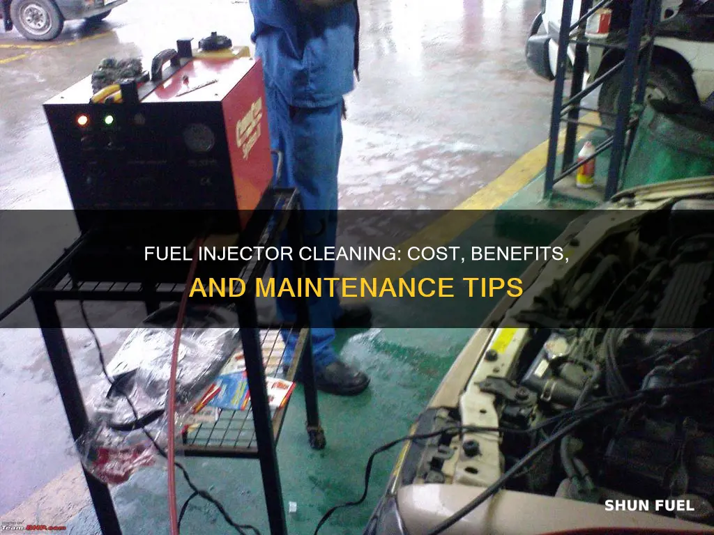 what is the cost of fuel injector cleaning
