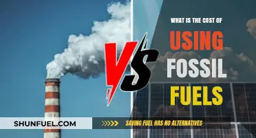 The Hidden Costs of Fossil Fuels: Environmental and Economic Impact