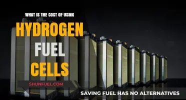 Hydrogen Fuel Cells: Understanding the Real Costs and Benefits