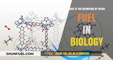 Understanding Fossil Fuels: Biological Definition and Environmental Impact Explained