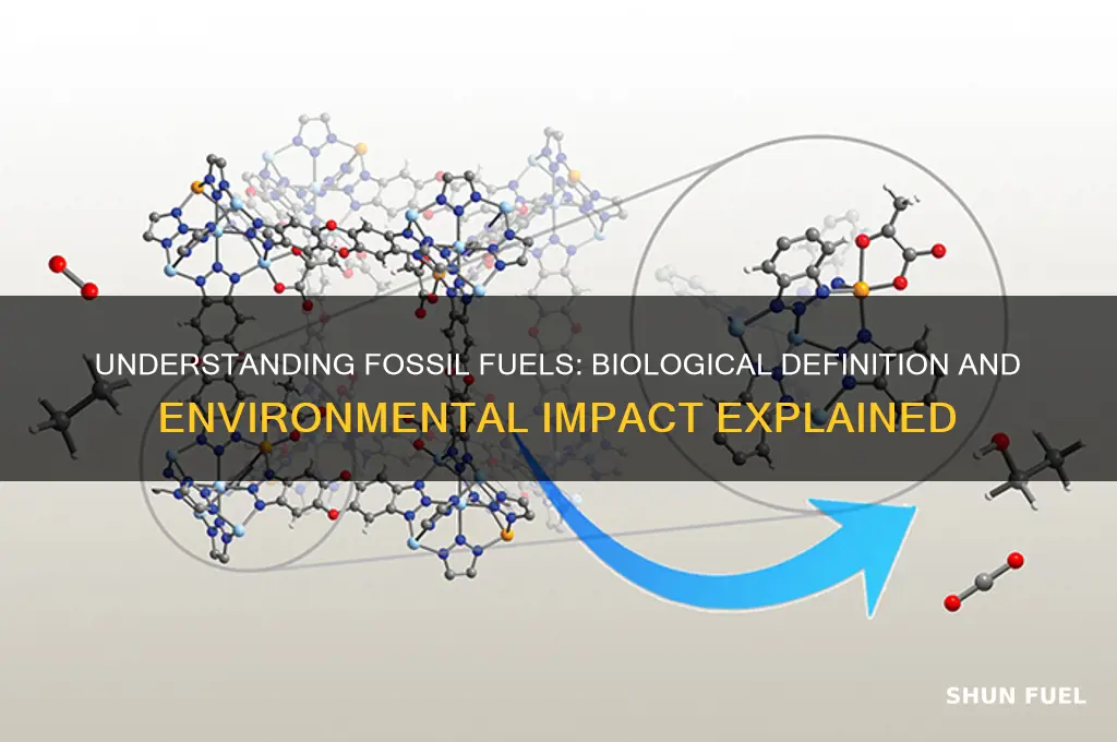 what is the definition of fossil fuel in biology