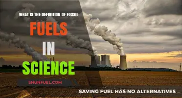 Understanding Fossil Fuels: Scientific Definition and Key Characteristics Explained