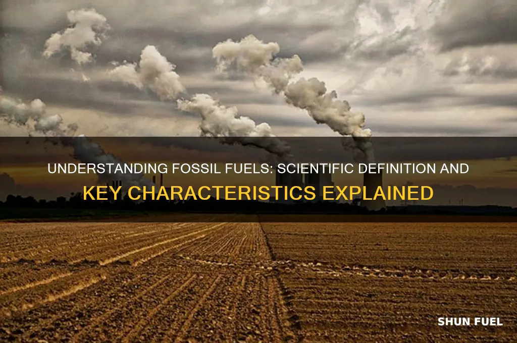 what is the definition of fossil fuels in science