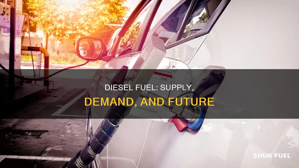 what is the diesel fuel situation