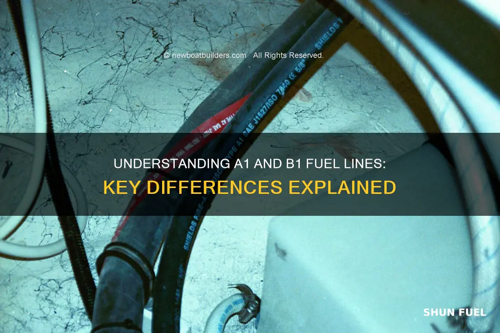 what is the difference between a1 and b1 fuel line