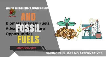 Biomass vs. Fossil Fuels: Understanding the Key Energy Source Differences