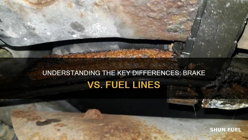 what is the difference between brake and fuel line