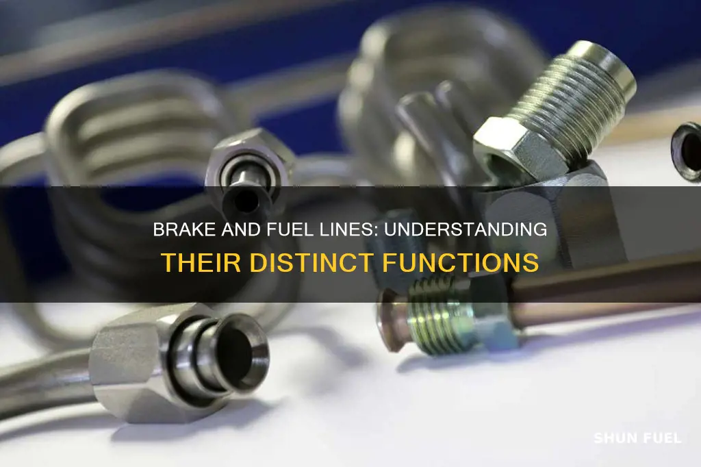 what is the difference between brake and fuel line