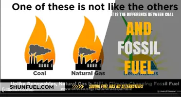 Coal vs. Fossil Fuels: Understanding the Key Differences and Uses
