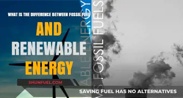 Fossil Fuels vs. Renewables: Understanding the Energy Divide