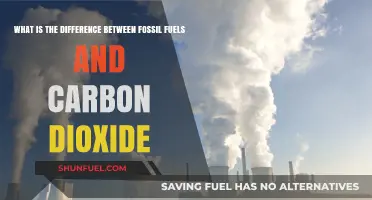 Fossil Fuels vs. Carbon Dioxide: Understanding Their Distinct Roles and Impacts