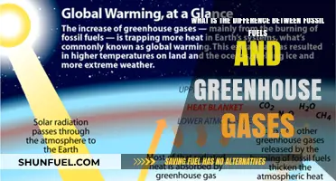 Fossil Fuels vs. Greenhouse Gases: Understanding Their Distinct Roles in Climate Change