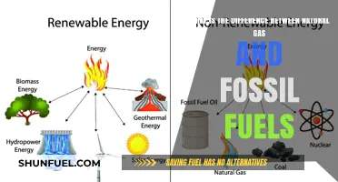 Natural Gas vs. Fossil Fuels: Key Differences Explained