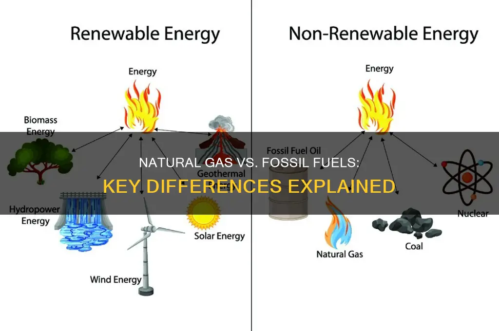 what is the difference between natural gas and fossil fuels