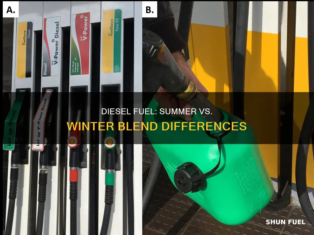 what is the differencebetween dieseland winter and summer diesel fuel