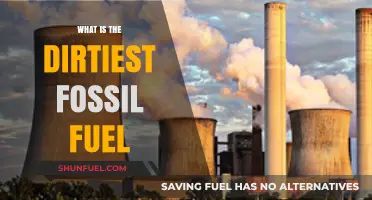 The Dirtiest Fossil Fuel: Uncovering Coal's Environmental Impact