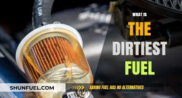 Exploring the Environmental Impact: Which Fuel Reigns as the Dirtiest?