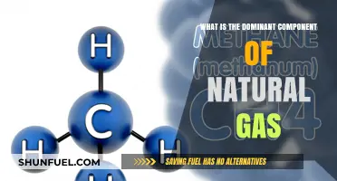 Unveiling the Primary Constituent of Natural Gas: A Comprehensive Guide