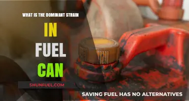 Understanding the Dominant Strain in Fuel Can: A Comprehensive Guide