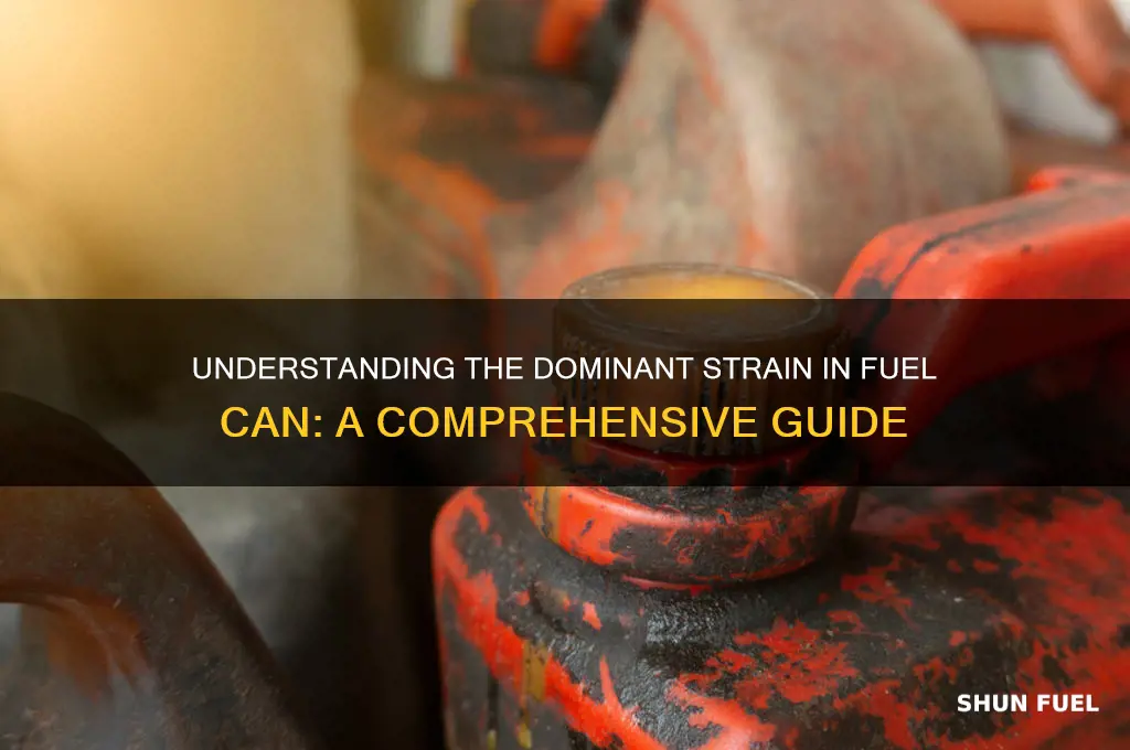 what is the dominant strain in fuel can