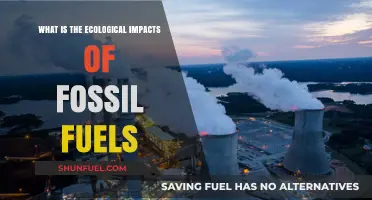 Fossil Fuels' Ecological Impacts: Uncovering Environmental Consequences and Sustainability Challenges