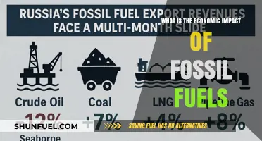Fossil Fuels' Economic Impact: Costs, Benefits, and Future Challenges