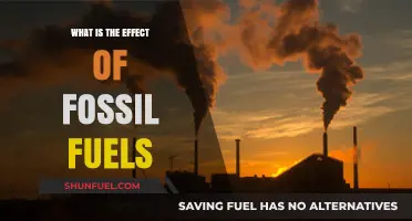 Fossil Fuels' Impact: Climate Change, Health, and Environmental Consequences