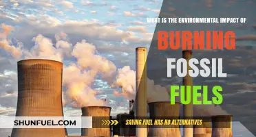 Burning Fossil Fuels: Uncovering Their Devastating Environmental Impact