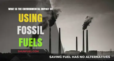 Fossil Fuels' Environmental Impact: Consequences and Sustainable Alternatives