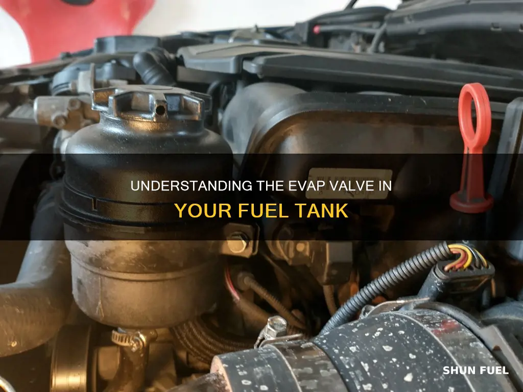 what is the evap valve inside a fuel tank
