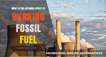 Burning Fossil Fuels: Uncovering the Devastating External Environmental Impacts