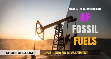 Fossil Fuel Extraction Rates: Understanding Global Consumption and Depletion