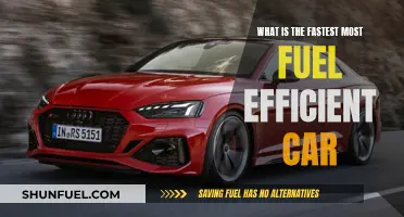 Fuel-Efficient Speedsters: Top Cars for Mileage and Velocity
