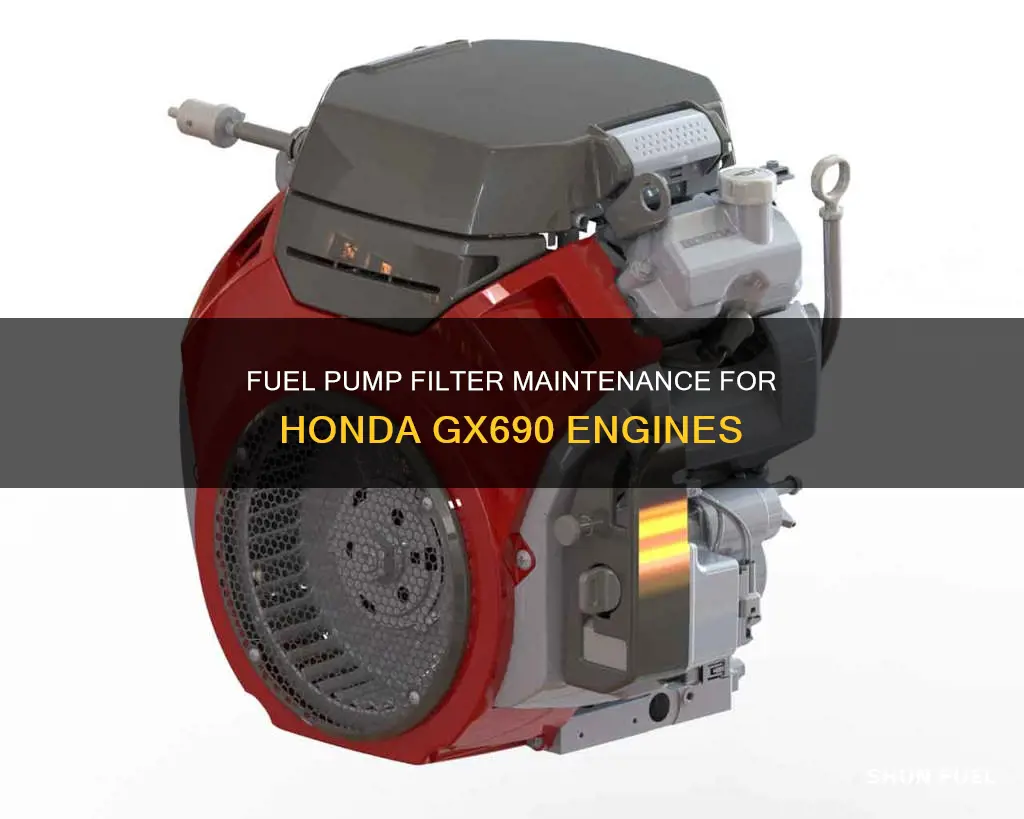 what is the filter connected to fuel pump honda gx690