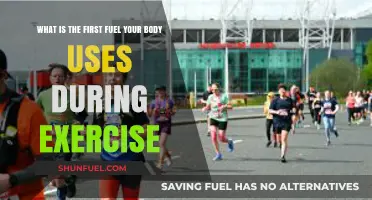 Your Body's Primary Fuel Source During Exercise: What's Burned First?