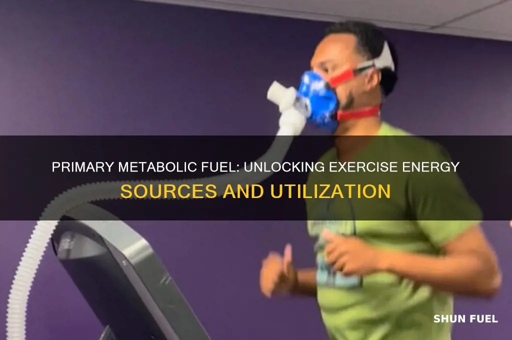 what is the first metabloic fuel used during exercise