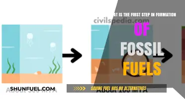 Unveiling Fossil Fuel Origins: The Crucial First Step Explained
