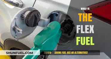 Exploring the Benefits and Uses of Flex Fuel Vehicles