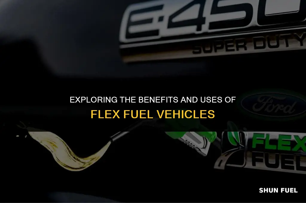 what is the flex fuel