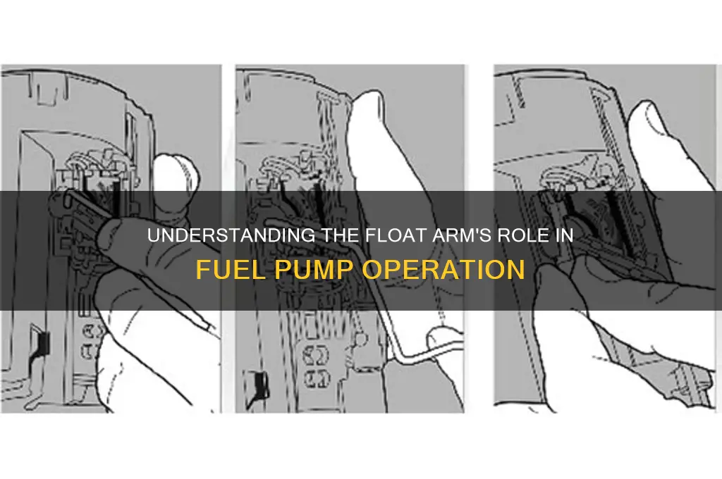 what is the float arm on a fuel pump